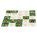 Codenames Duett (Neuauflage)- Der Zweipersonen-Ableger des Erfolgsspiels