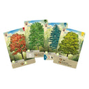 Mischwald - Der Gewinner des Deutschen Spielepreises 2024